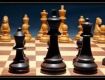 В Виноградово прошел шахматный турнир по швейцарской системе