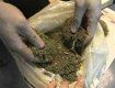 На Закарпатье наркоман с марихуаной заявился в милицию