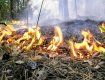 Закарпатская область страдает от возгораний в экосистемах