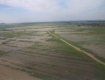В Закарпатье из-за водной стихии пострадали засеянные поля
