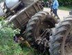 В Закарпатье ветвь 150-летнего бука упала на тракториста