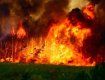 В Береговском районе четыре дня подряд горел лес