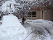 Бог и синоптики оставили жителей Закарпатья без снега и морозов