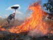 В Ужгороде массово сжигают сухую траву там, где она еще есть