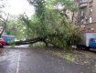 Закарпатська область: рятувальники ліквідовували наслідки падіння дерев
