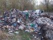Возле Чернобыльской АЭС нашли кучи мусора со Львова