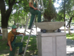 Берегівські комунальники навели лад із овальною клумбою у парку Героїв
