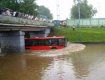 Река Латорица немного подтопит не только город Мукачево