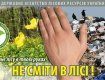 На Мукачівщині — операція «зачищення лісу»