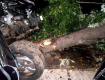 В Киеве крутая иномарка разбилась вдребезги об дерево