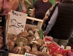 Вартість грибів в Італії та Закарпатті - чи набагато у нас дешевше?