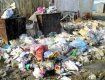 В Ужгороді ніде викинути сміття, - в країні бардак та й годі!