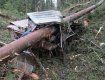 Несчастный случай произошел в лесу в Раховском районе
