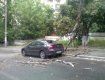 В Ужгороде деревья падают на проезжую часть и на машины
