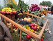 В Ужгороде пройдет сельскохозяйственная ярмарка «Золотая осень - 2014»