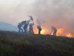 Пожарные предупредили возгорание леса на высокогорье Карпат