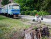 Детскую железную дорогу в Ужгороде передадут городу
