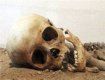 В Виноградовском лесу нашли скелетированный труп женщины