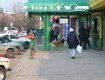 Стая бездомных собаки "облюбовала" территорию аптеки Ужгорода