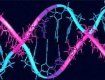 В генетическом коде людей три новых гена