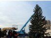 В городе Ужгороде на площади Театральной уже появилась новогодняя елка