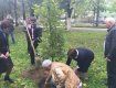 В Парке партизанской славы высадили более 60 саженцев дубов