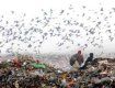 Хустские чиновники неплохо заработали на мусоре - 400 000 грн.