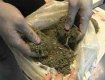 В железнодорожном контейнере нашли почти 2 кг марихуаны