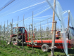 В Закарпатье установили противоградовую сетку на 29 га сада