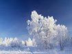 Холода продержатся в Закарпатье до середины февраля