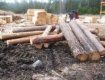 В Брустурянском лесоохотничьем хозяйстве погиб лесоруб