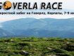 Скоростной забег на Говерлу «Goverla Race» - 7-9 июня 2014