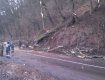 В Закарпатье дорогу завалило поваленными ветром деревьями