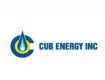 В Закарпатье Cub Energy закончила I квартал с убытком $0,9 млн