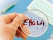 56-летний мужчина из Германии заразился вирусом Эбола еще в Либерии