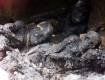 В Хусте на месте пожара обнаружены трупы сгоревших людей