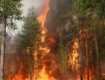 За минувшие сутки в Закарпатье произошло 24 пожара