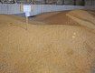 Закарпатец не обеспечил надлежащих условий хранения 101 тонны зерна пшеницы