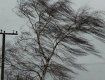 Шквальный ветр в Закарпатье оставил без света более десятка сел