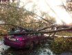Столицу накрыл сильный ураган: повалены деревья и порванные линии електропередач