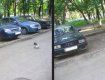 В Ужгороде небольшую "зеленую зону" закрыли бетонными плитами