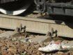 В городе Мукачево поезд смертельно травмировал юношу