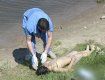 Иршавский район: в реке Боржава утонул 12-летний мальчик
