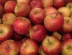 В "Дасторе" продают сторожницкие яблоки по африканской цене