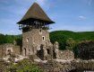Невицкий замок хотят закрыть на реставрацию