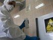В Бразилии обнаружена новая форма "свиного гриппа"