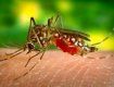 Вакцина, яка буде захищати від малярії