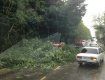 В Ужгороде на улицу Собранецкую обрушился маленький ураган
