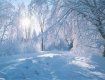 Новый год украинцы встретят со снегом.