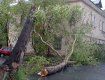 На западе Украины мощный ураган вырывал деревья с корнем